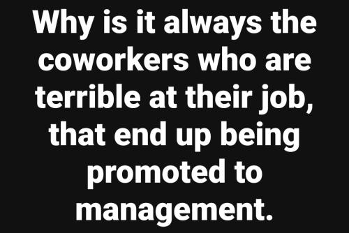 Screenshot_20240209_042522_Facebook