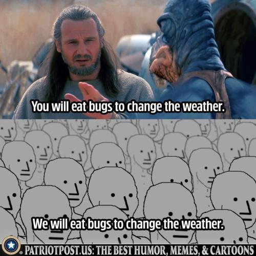 01HNHKF91F49RCHC6C6FZ5CS1Q