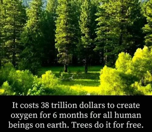do it for free