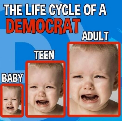 sngine_6277eab2ce6bc06239df725433e8829b