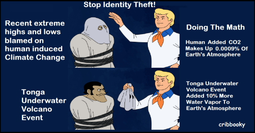 tonga_identity_theft