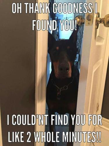 e5ffb9b1c921f7cc143b93db3f2459a3 (1)