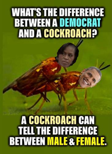 Screenshot_20240221_183913_Gallery