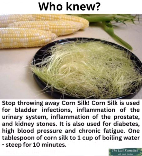 Screenshot_2024-02-16-21-47-22_kindlephoto-32867282