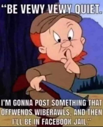 FB_IMG_1707788939710