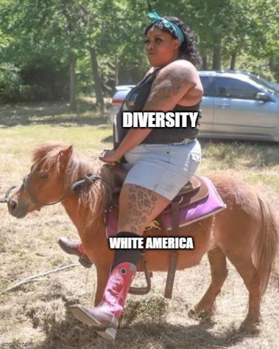 IMG_20240211_093421_046