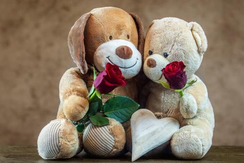teddy-4825509_1280