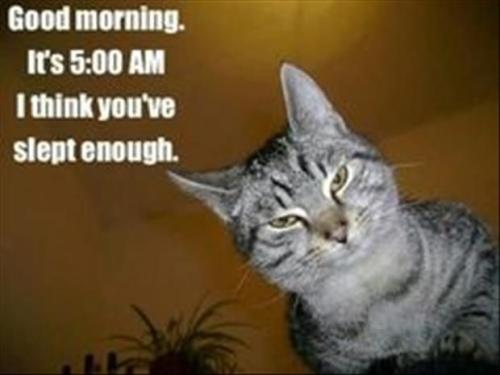 33dcf46881300614b10baff174878061