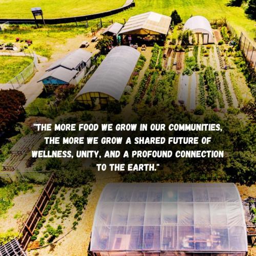 Grow Food
