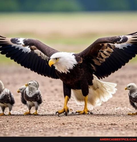 b2d34d66346dca6365b67f09fa65d0ddc477812c0f7a9c562350302f2e1bfe6e_1