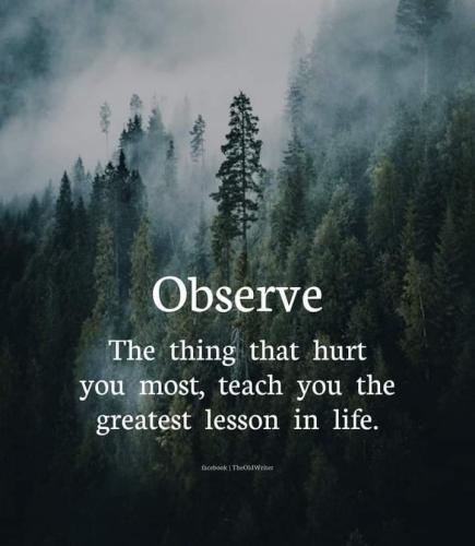 FB_IMG_1708314962397