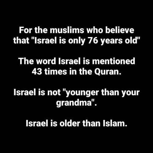 427986750_122137905452056629_6746437389490184362_n