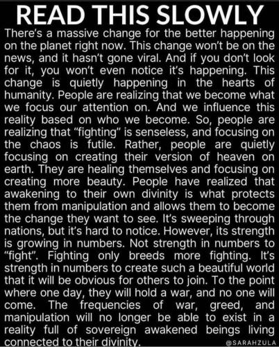 IMG_20240202_080119_541