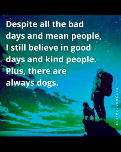 F6E2F201-4606-4E46-B002-0624B97322C9