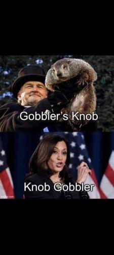 FB_IMG_1708359549751