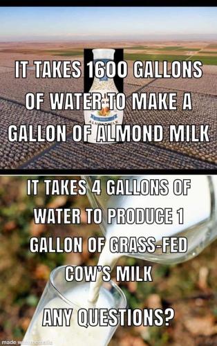 4 gallons of water