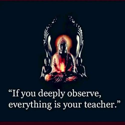 417519722_6884613614981846_6332373355670088592_n