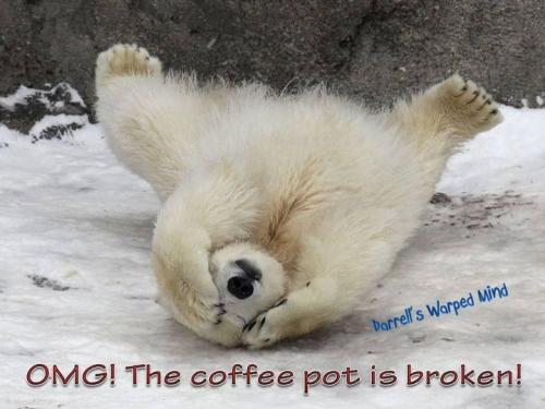 428447428_10160244117677055_4534191384175797548_n