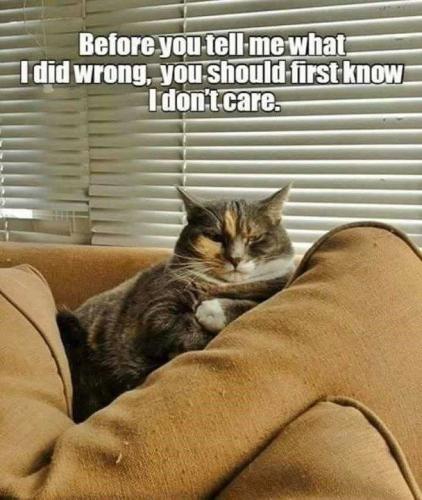 a829f47b692a92f3f48d8e1df48f7124