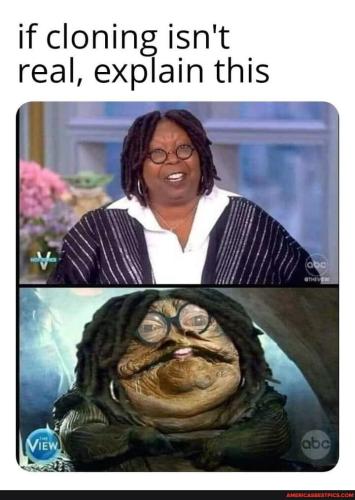 de2177e25668d37d2e0630ffb1339ca585075dfc824ca433c465c04b0694d541_1