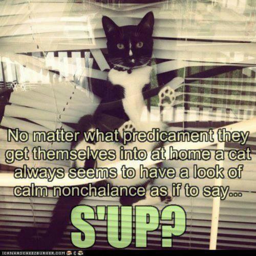 ed5acf9aee664d54ac9f3b29f9cb6c43