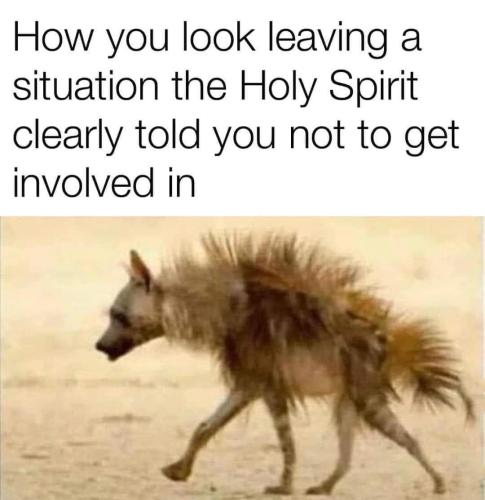 FB_IMG_1708495172434