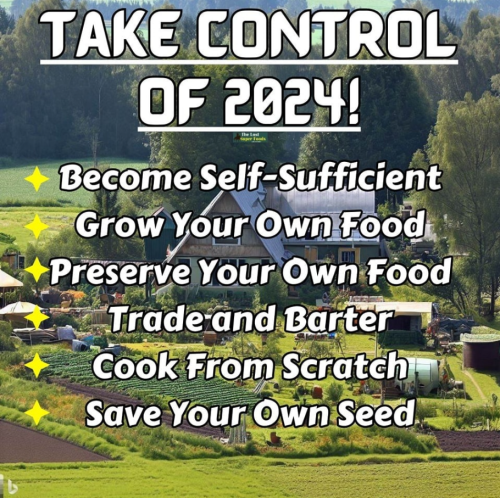 Screenshot 2024-02-19 082644