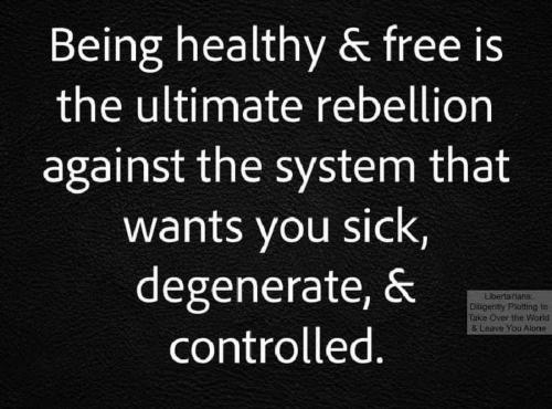 IMG_20240206_055037_190