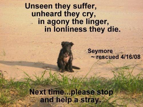 bcfd00f1cd5dc5cb19bfd25bd43277c9