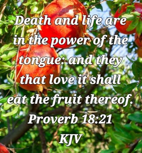 02:39:45 GMT-0800 (PST)