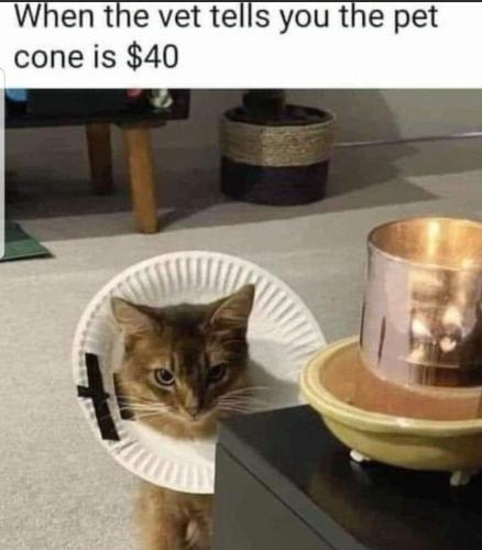 Screenshot_20240202-230640_MeWe