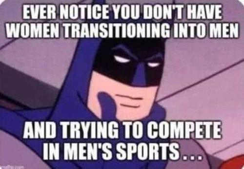 427028025_730273209206331_868207748941439578_n