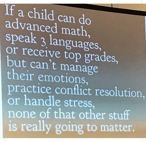 IMG_20240208_173631_456