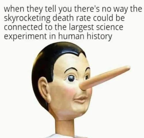 FB_IMG_1708389340969