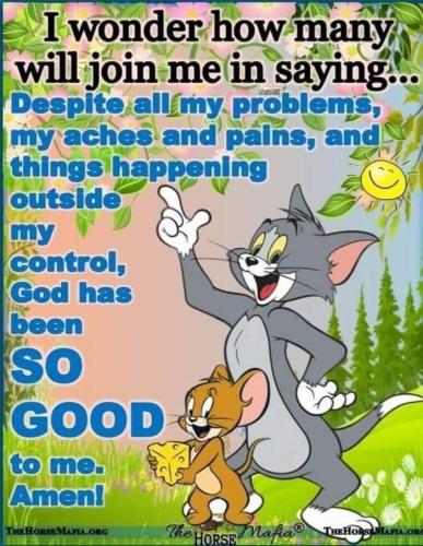 FB_IMG_1707979447127