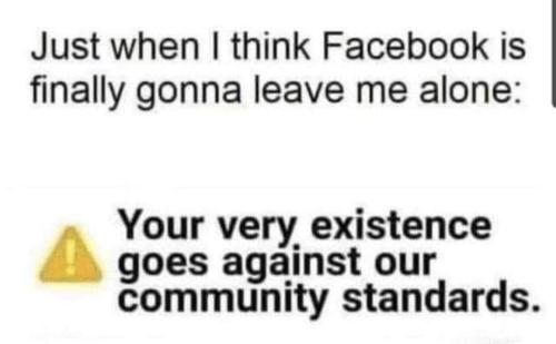 FB_IMG_1708394314928