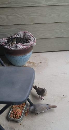 18:53:18 GMT-0600 (CST)