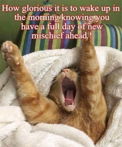 ee06bc0fca99f5f75fdde8c4ccb547af