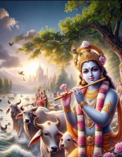 ,     ,    324779683_12676030304