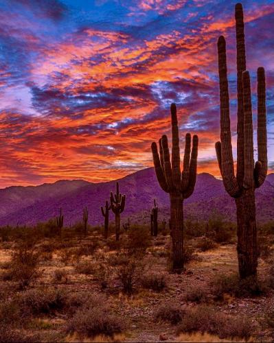 D5DEC03E-FF59-4693-A328-6D70486A3435