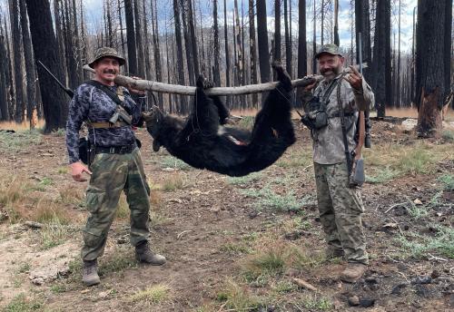 73D19279-9923-4A98-968C-55C10C9DA998