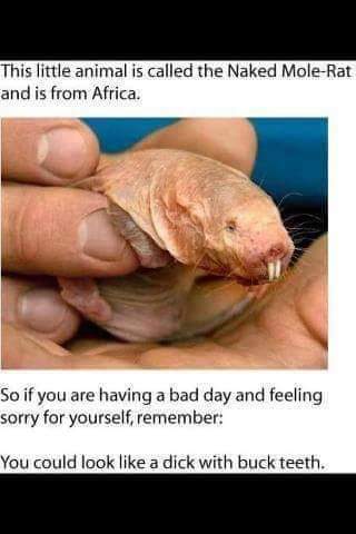 FB_IMG_1706918758635