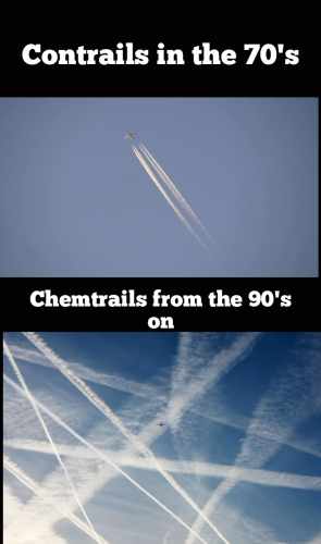 Polish_20240203_094157408