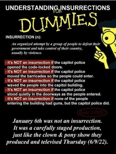 insurrections 4 dummies