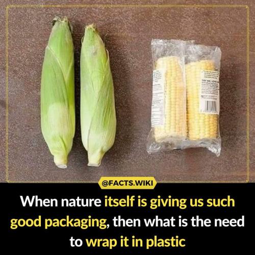 wrap it in plastic