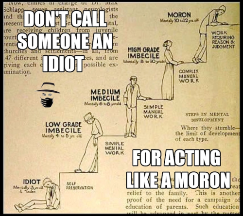 image_2024-02-13_101549305