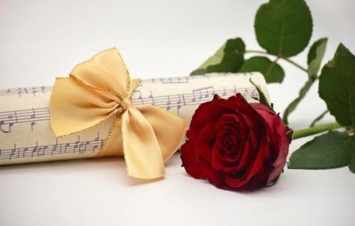 red-rose-7195381_1280