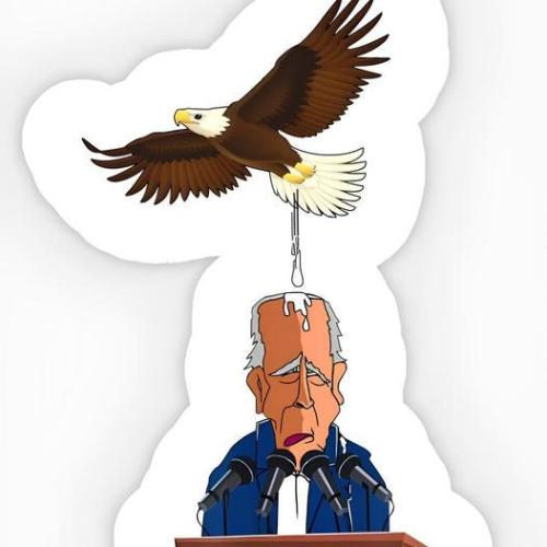 sngine_b662011364efc1e0e8d62a9d2f768472