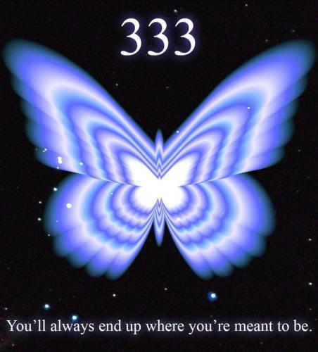 426532637_122126531630139006_7235681217889688699_n