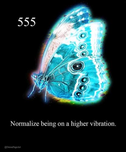 422633173_356785030533916_5252673183868834742_n
